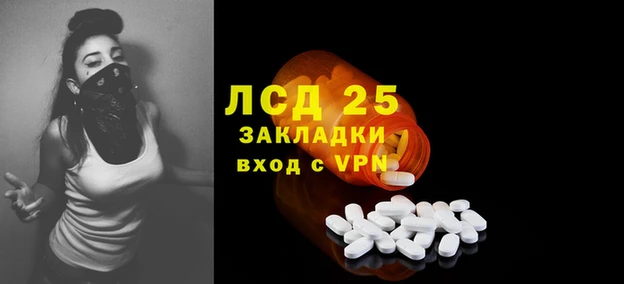 PSILOCYBIN Алексин